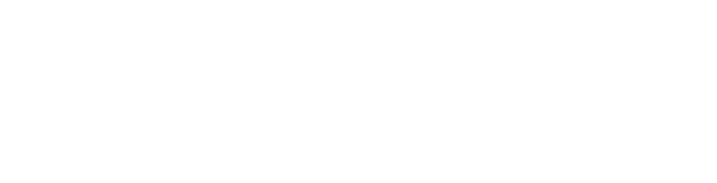 Logo RDS